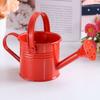 Garden Mini Kawaii Metal Water Spraying Pot Flower Kettle Watering Can