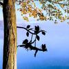 Delightful Swinging Elf Metal Wall Art - Perfect for Yard, Garden, and Patio. Steel Silhouette Stake Ideal for Birthdays