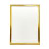 IPS Beauty Panel Gold B3 Aluminum Poster Panel