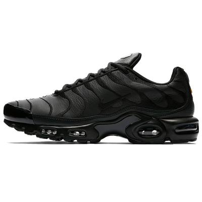 Air Max Plus Мужские Тройной Черный AJ2029-001