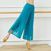 Dance Pants for Women Mesh Nylon Loose Wide Leg Dancing Trousers Chinese Classical Dance Daily Ladies Yoga Pants