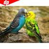 5D Diamond Painting Animal Bird Full Round Rhinestone Picture Embroidery Sale Diamond