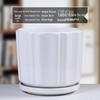 Simple White Ceramic Flower Pot with Base for Indoor Plants - Available in Large and Extra Large