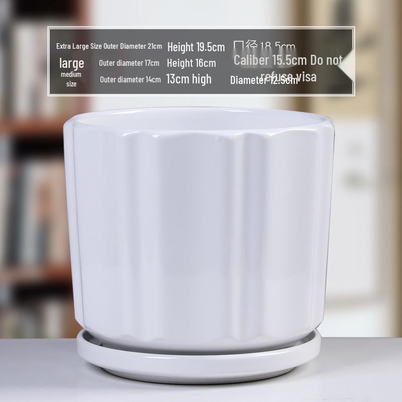 Simple White Ceramic Flower Pot with Base for Indoor Plants - Available in Large and Extra Large