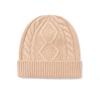 Winter Hat Warm Knitted Thick Cap for Women Sheep Wool Twist Hat Cashmere Handle Jacquard Hat