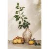 Retro Elegant Olive Tree and Lemon Canvas Poster Vase Wall Art Poster Perfect Gift for Living Room Bedroom Dormitory Home Decor