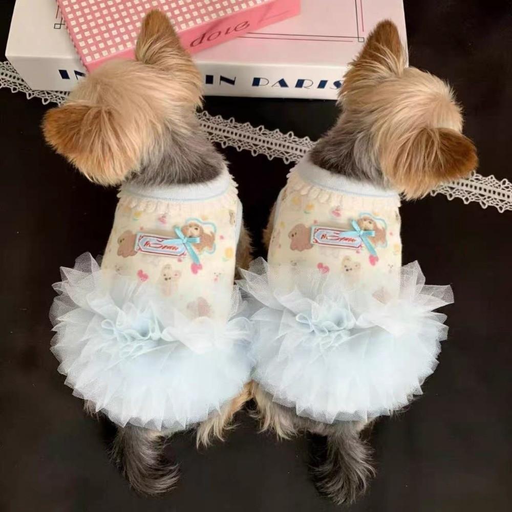 Blue Color Teddy Dog Skirt Cute Style Princess Dress New Summer Dog Dress for Small Dogs