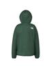 The North Face Swallowtail Hoodie Alpine Size L Jacket,