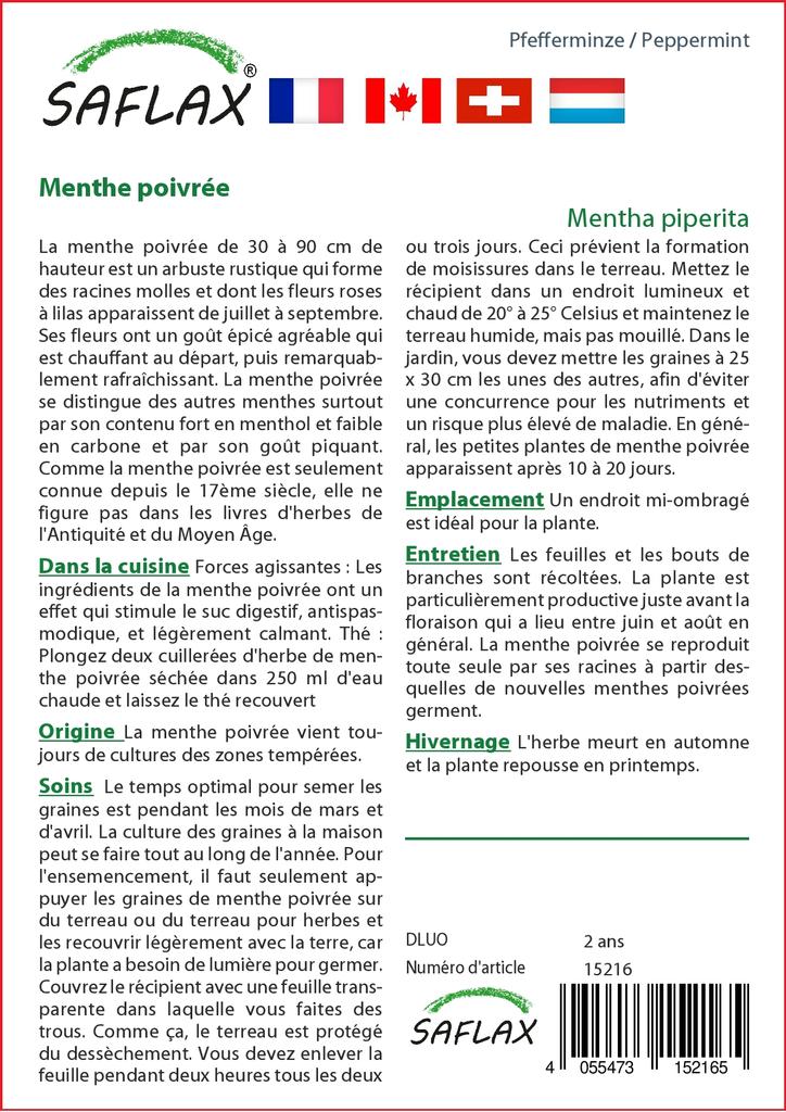 SAFLAX Garden in the Bag - Мята перечная - 300 семян - С субстратом в удобном стоячем пакете - Mentha piperita