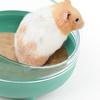 Нескользящая ванна для хомяка, прозрачная, легко моется, разбирается, многофункциональный наполнитель для хомяка