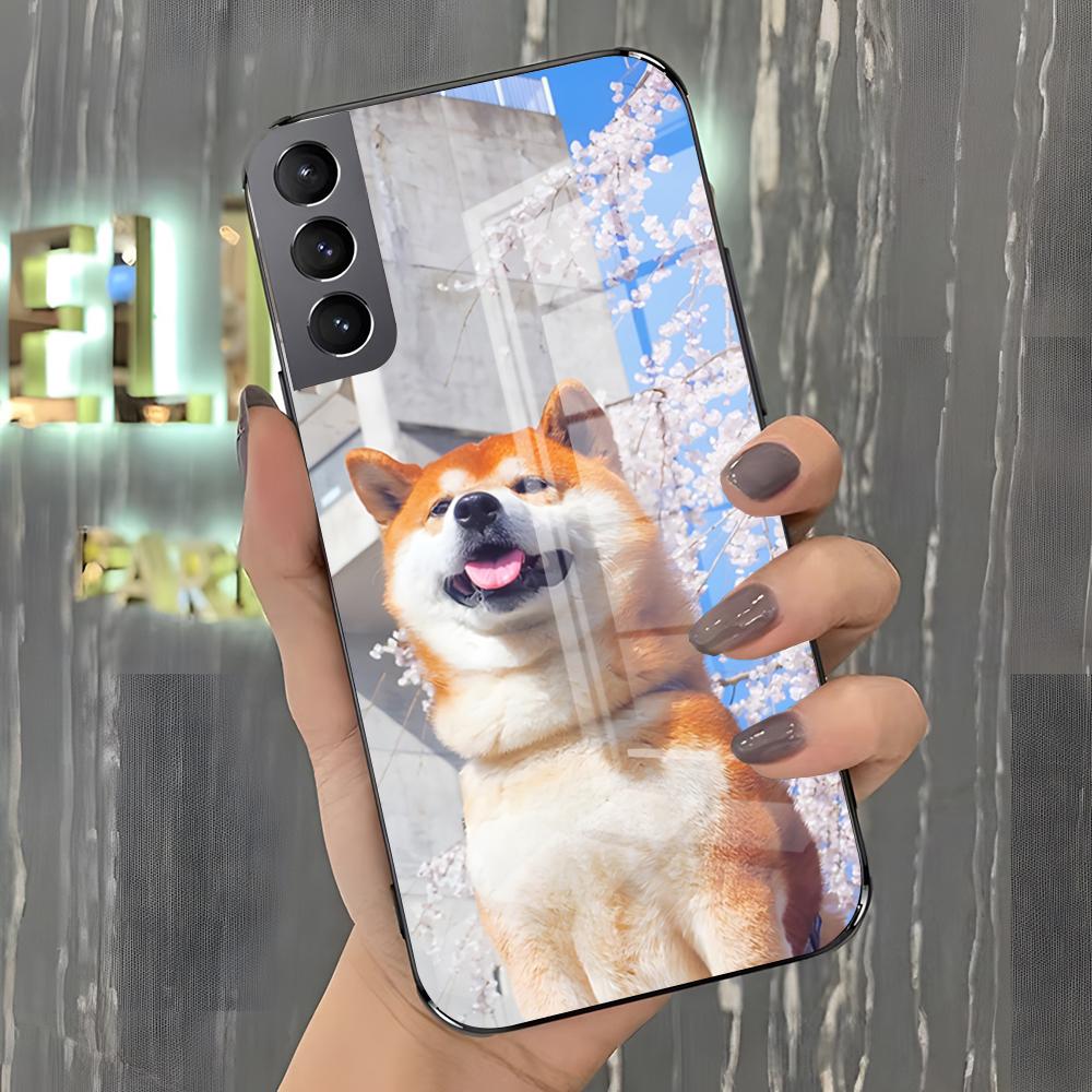 Милый чехол для телефона с сиба-ину для Samsung A25 A13 A33 5G A54 A36 A35 A56 A52 A14 Ударопрочная стеклянная крышка