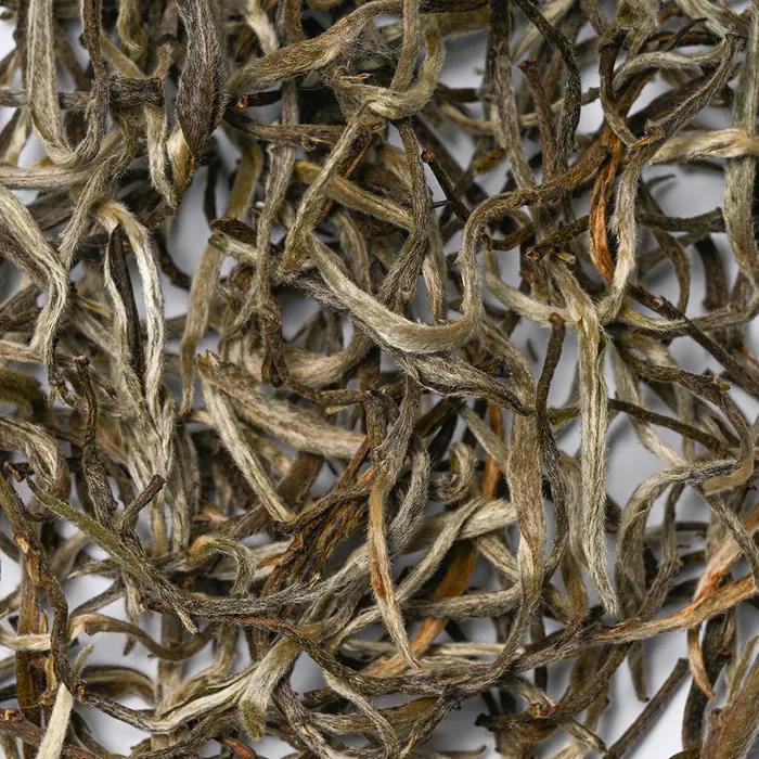 Cocosienna Premium Tea Dazzling White 20g