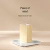 Xiaomi Smart Body Composition Scale S400