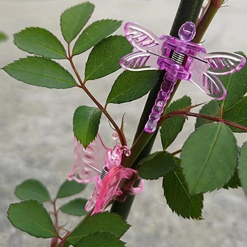 6 шт.- Пластиковые зажимы для орхидей, садовые зажимы для растений в виде стрекоз и бабочек для поддержки, для украшения цветочных лоз, декоративные зажимы, смешанные