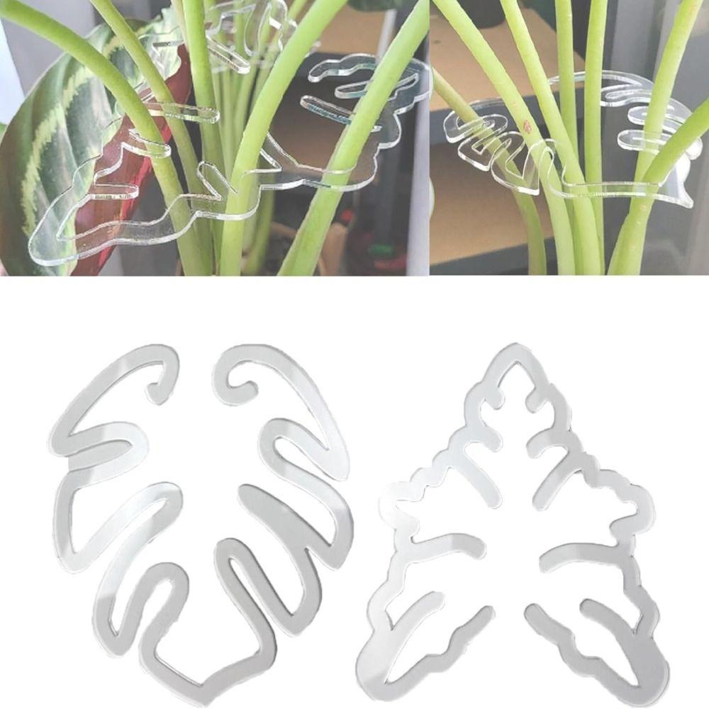 Clear Plant Stem Support Holder Plastic Plant Stem Support for Flower Lovers