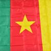 Национальный флаг Камеруна 90*150см 3x5 Футов для митинга Парада вечеринки Вывешивание Домашнее украшение баннер