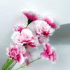 Single Artificial Flower Carnations Wedding Fake Bouquet Mother's Day Teachers' Day Gift Home Decor