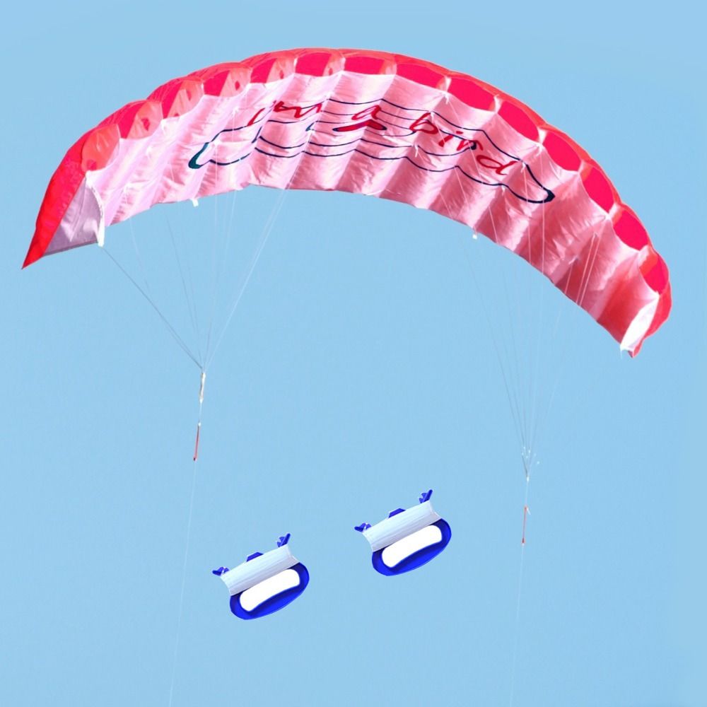 Двойной стропный кайт для трюков, мягкий спортивный пляжный кайт, профессиональный 1,4 м, парашютный кайт для сада