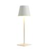 Simple Desk Lamp Decorative Desk Lamp Rechargeable Desk Lamp Metal Texture Ambient Lamp White