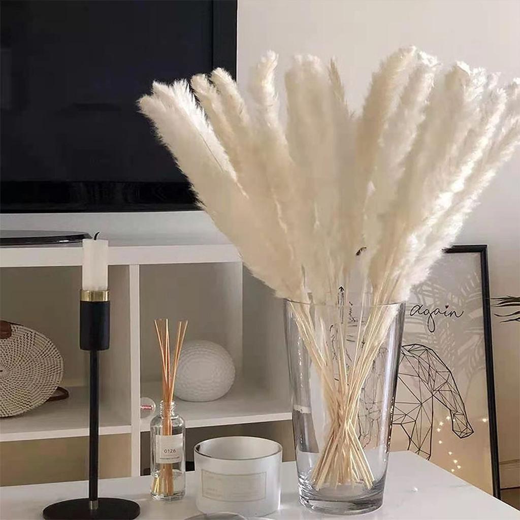 30PCS Small Reed Immortal Flower Bouquet Pampas Grass Dry Flowers Christmas DIY Decorations White