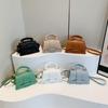 Casual Small Fresh and Fashionable Mini Bag for Women In Spring New Fashionable and Fashionable Texture One-shoulder Crossbody Small Square Bag