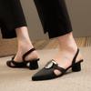 Baotou Thick Heel Sandals Spring New Pointed Head Shallow Mouth Metal Buckle A Slip-on Wear-resistant High Heels