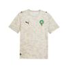 Puma X MOROCCO x SALEHE BEMBURY Вратарская форма 'Alpine Snow Desert Dust' Мужская 787107-86