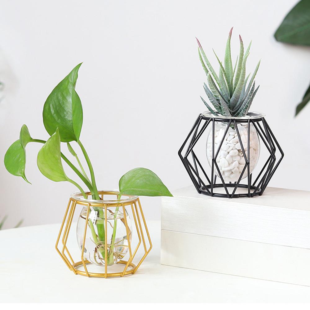 Nordic Golden Glass Vase Iron Line Vase Metal Home Decor Modern Plant Holder Terrarium Geometric Hydroponic Plant Flower