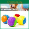 Toy Squeaky Dog Balls Rubber Durable Bouncy Chew Ball Puppy Play Tpr Outdoor