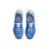 Nike Pegasus Trail 3 Gore-Tex Sprite (Женский) Женские кроссовки Medium-Blue Coconut-Milk-Sanddrift-Light-Lemon-Twist DC8794-400