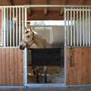 Stall Guards For Horse Barns Aisle Stall Guards Adjustable Straps Door Frame For Stable Pasture Equestrian Centers Riding Show