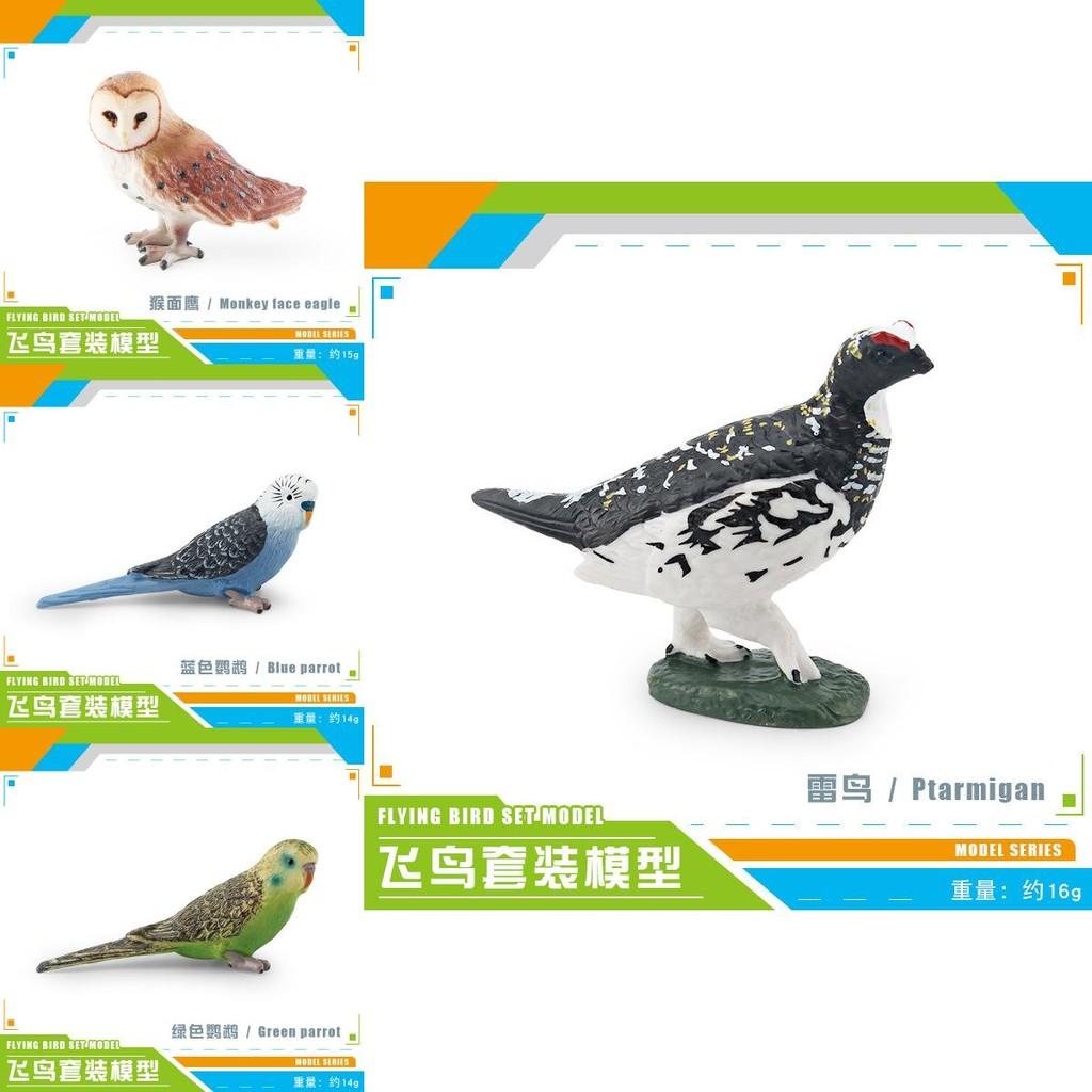 Colorful Lifelike And Pvc Bird Models Set Featuring Parrots Owls And Exotic Birds Ideal For Decor Home