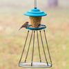 Birdseed Catcher Tray Universal Bird Feeder Attachment Hanging Hoop Platform for Hummingbird