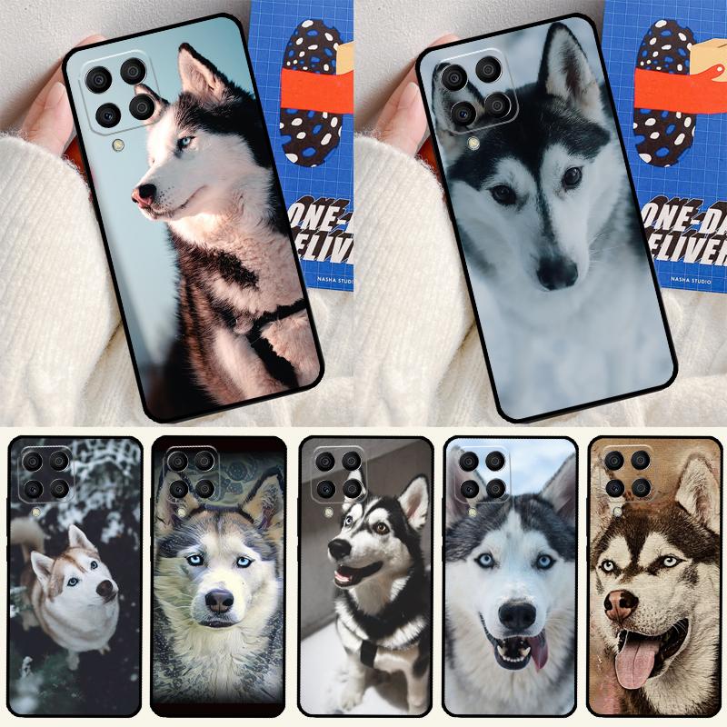 Siberian Husky Sled Dog For Samsung Galaxy M31 M16 M11 M21 M13 M33 M35 M53 M55 M15 M14 M34 M54 M12 M32 M52 M06 Case