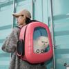 Сумка-переноска для домашних животных, кошек, собак, рюкзак-капсула, дышащий, портативный, прозрачный, с двумя лямками, большие сумки