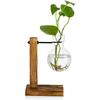 Transparent Vase Desktop Wooden Stand Glass Clear Plant Vase for Home Table Desk Interior Decoration