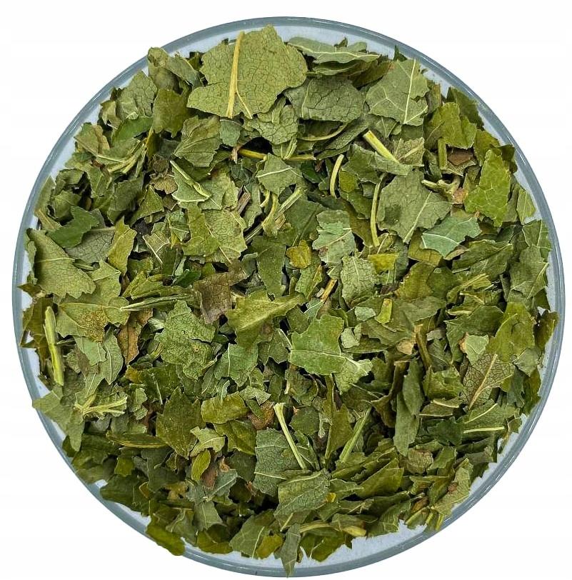 Porzeczka czarna liść 100g herbatka ziołowa tisania
