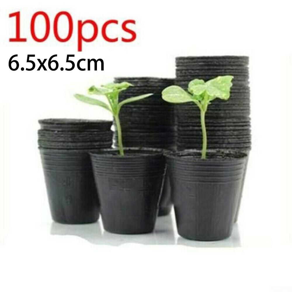 Weather Resistant Plant Containers for Nutritional Plant Growth 100 Pieces
