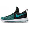 Kd 9 Birds Of Paradise 843392-300