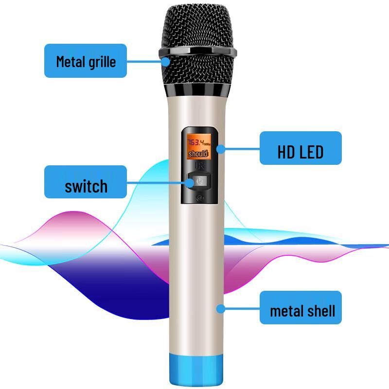 SA-T25 Portable High-Power Outdoor KTV Speaker