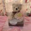 [USED] Teddy Bear Stuffed Animal Interior Preserved Flower Gift Celebration
