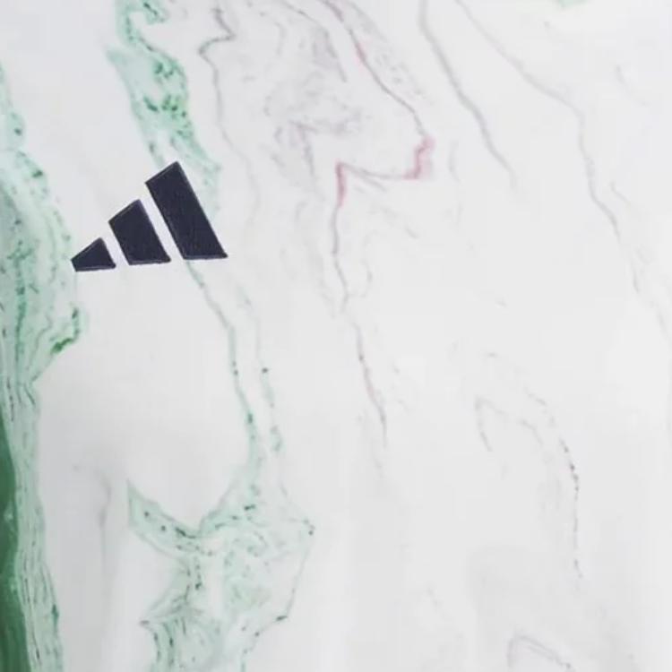 Adidas Мужские футболки с короткими рукавами и круглым вырезом с цветными блоками, белые HS9868