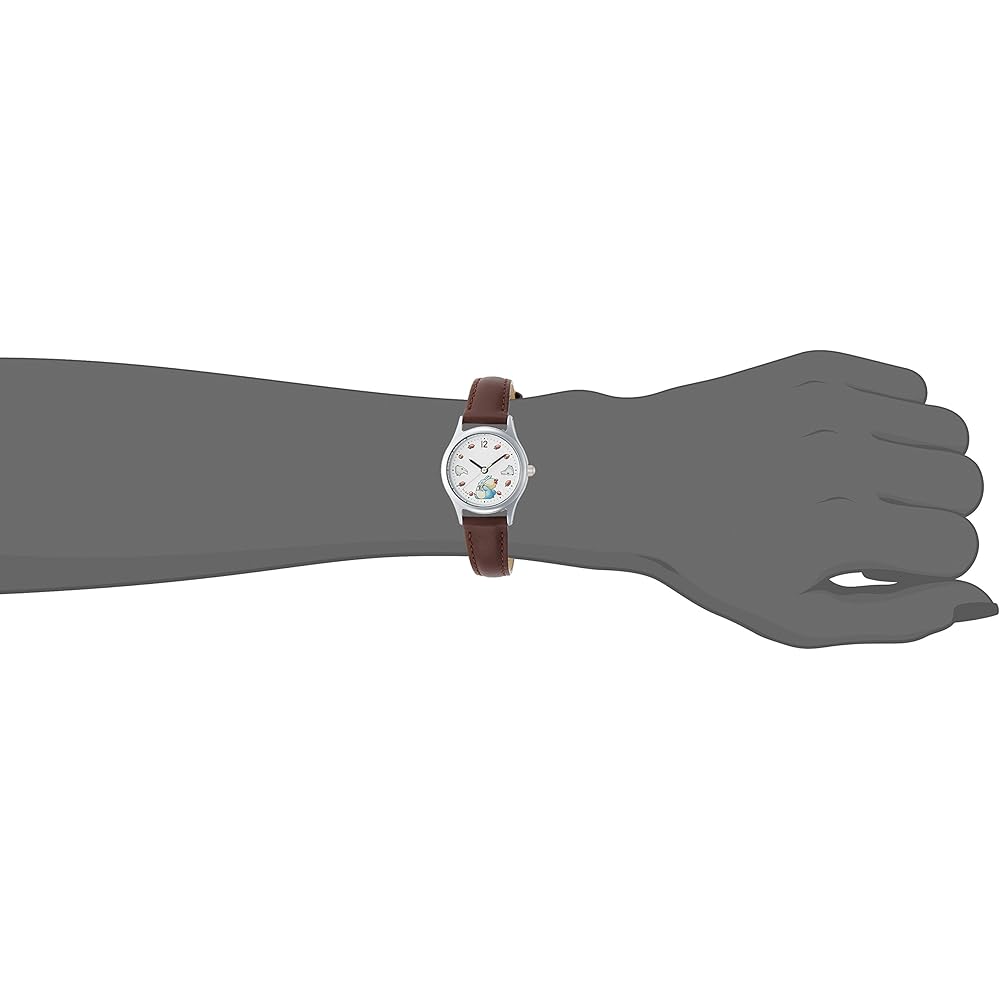 Seiko Alba Studio Ghibli Collaboration Model My Neighbor Totoro Watch ACCK406