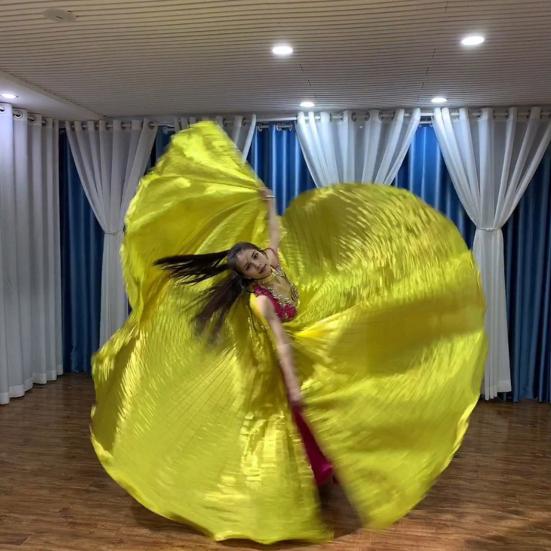 1 Set Performance Telescopic Rod 360 Wings Egyptian Degree Belly Dance Cape with Costume Pleated Bright