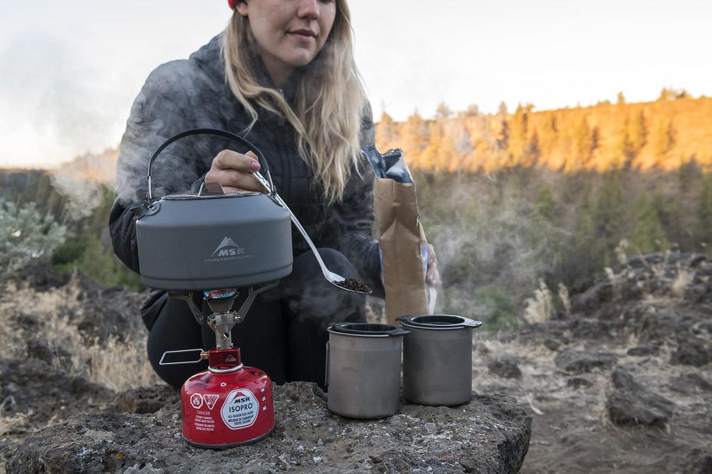 MSR Посуда для приготовления пищи на открытом воздухе Alpine Нержавеющая сталь Длинная ложка-инструмент Японская 39523 (АЛЬПИЙСКИЙ) [Подлинный продукт]