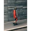 Aigle Парка Rain 90