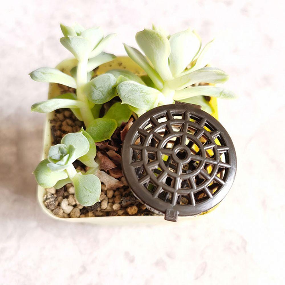 20Pcs Plastic Bonsai Gardening Tools Nursery Pots Plant Growth Fertilizer Box Fertilizer Cover