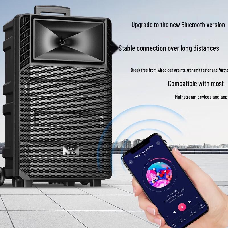 Soaiy SA-T20 12-дюймовая портативная Bluetooth KTV колонка