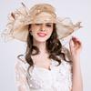 A new summer anti-ultraviolet European and American women's fashion hat, big flower fashion mesh hat, big edge hat.