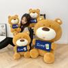 Креативная кукла работающий медведь, кукла медведь для обнимания, плюшевая игрушка, одноклассник, подарок на день рождения 520, кукла для обмена